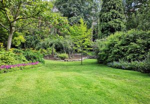 Optimiser l'expérience du jardin à Saint-Georges-sur-Arnon